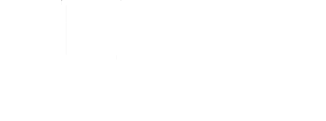 Lit Collective